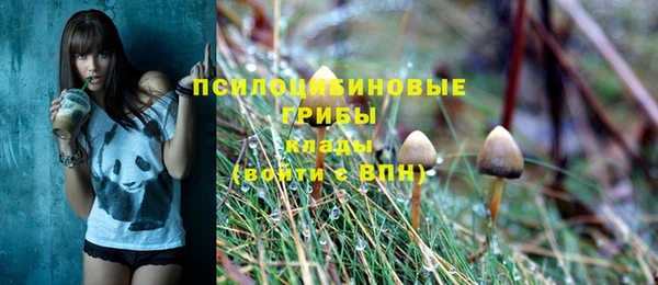спиды Балахна